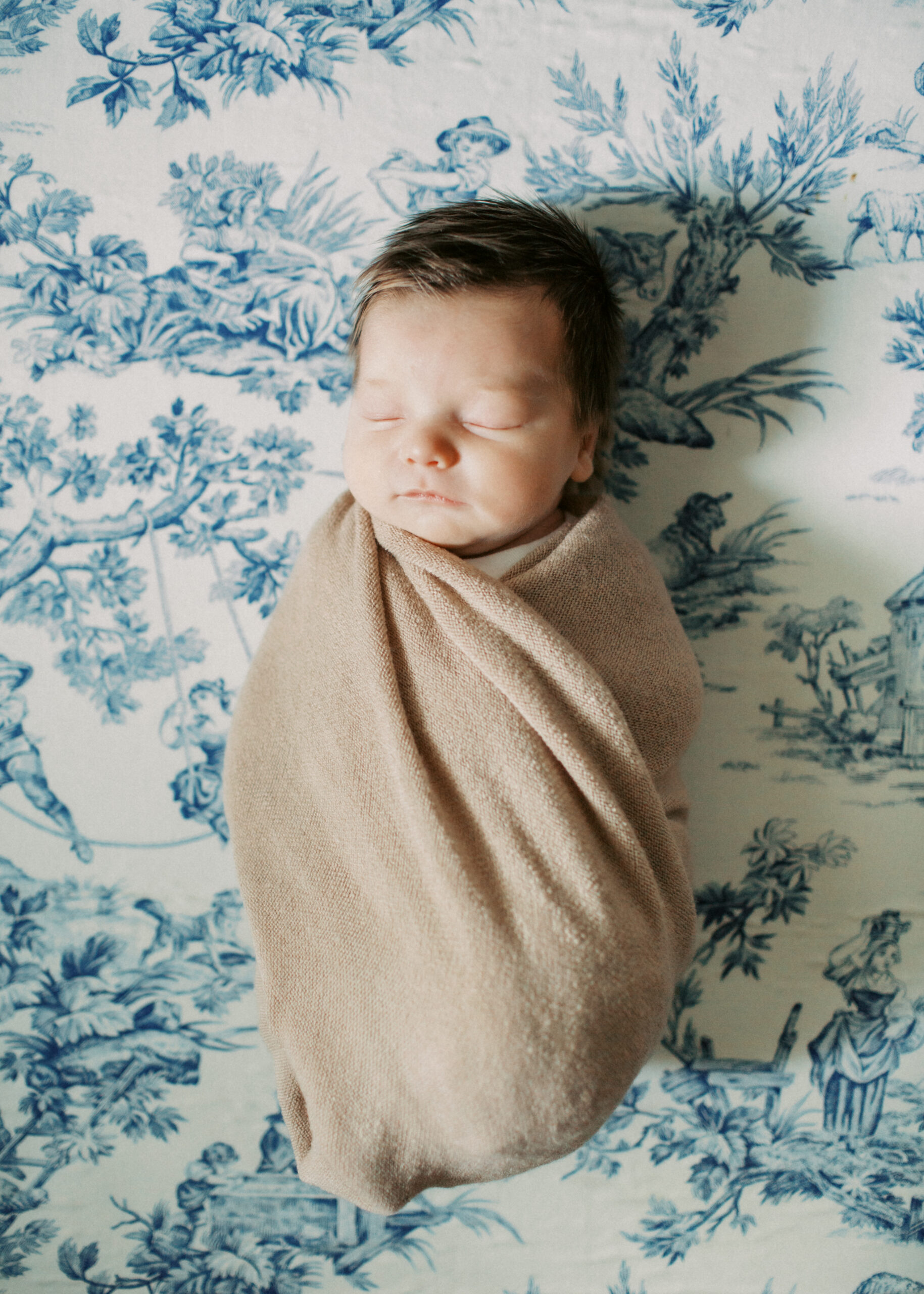 Pittsburgh Newborn Photography