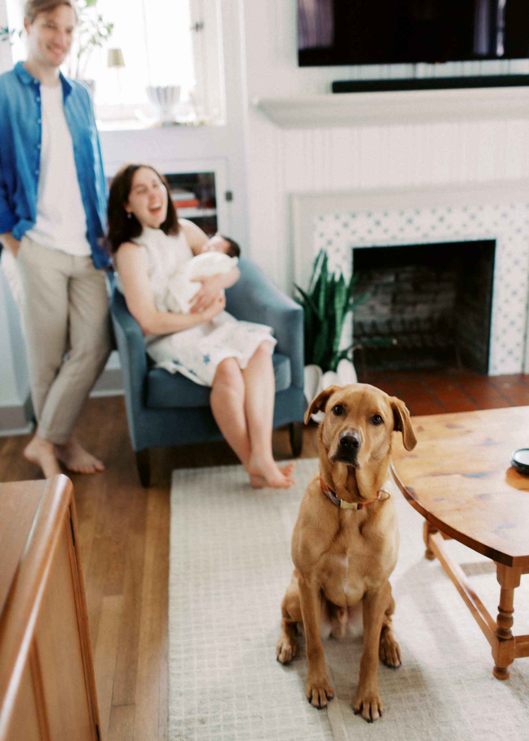 Pittsburgh Newborn Photography